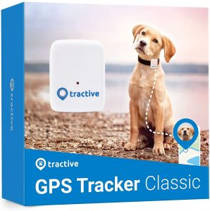 Localizador GPS perro
