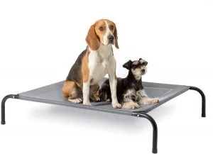 Cama tumbona exterior perro