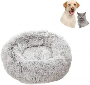 Cama pelo perro
