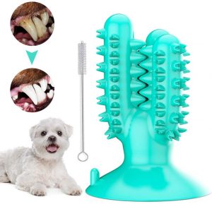 Cepillo dientes juguete perro