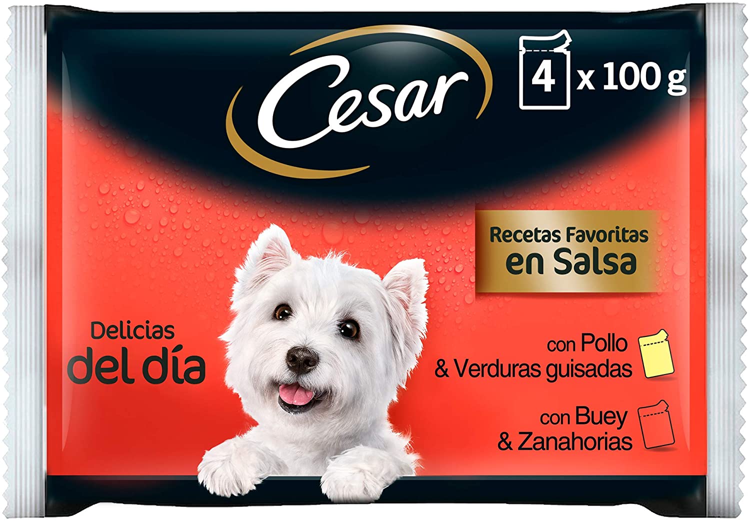 Comedero perro | Comedero automático | Pienso perros pequeños 2021