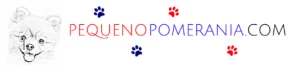 Pequeno Pomerania